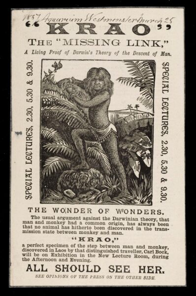 A pamphlet features a large portrait of a young girl. She only wears a beaded loin cloth and several bangles. The girl has thick hair on her entire body and face. The girl is stands with her foot on a mossy stone among banana leaves and ferns. Far beyond this lush forest, water, palm trees, and a mountain are visible. The title of the pamphlet reads ""Krao", the "missing link," A living proof of Darwin's theory of the Descent of Man." The pamphlet announces special lectures, described as follows: "The Wonder of Wonders. The usual argument against the Darwinian theory, that man and monkey had a common origin, has always been that no animal has hitherto been discovered in the transmission state between monkey and man. 'Krao,' a perfect specimen of the step between man and monkey, discovered in Laos by that distinguished traveler, Carl Bock, will be on Exhibition in the New Lecture Room, during the Afternoon and Evening. All should see her."