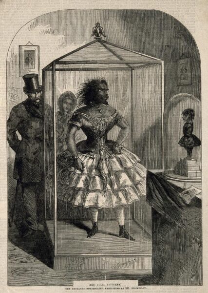 In a wood engraving, the embalmed body of a woman is displayed in a decorated glass case inside a gallery. Her body is hairy and posed in a dress with a tight corset. Well-dressed visitors walk through the gallery and observe her body. A caption reads: "Miss Julia Pastrana, the embalmed nondescript, exhibiting at 191 Piccadilly."