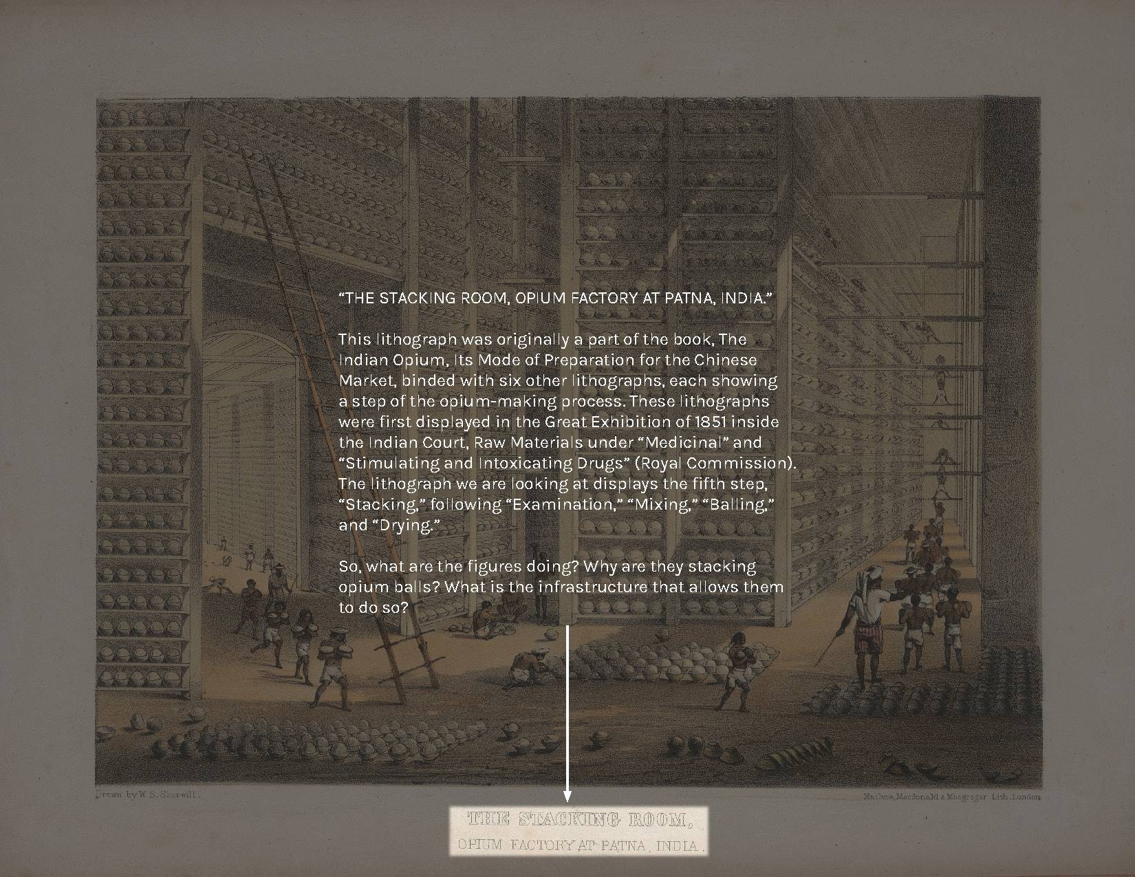 “THE STACKING ROOM, OPIUM FACTORY AT PATNA, INDIA.”  This lithograph was originally a part of the book, The Indian Opium, Its Mode of Preparation for the Chinese Market, binded with six other lithographs, each showing a step of the opium-making process. These lithographs were first displayed in the Great Exhibition of 1851 inside the Indian Court, Raw Materials under “Medicinal” and “Stimulating and Intoxicating Drugs” (Royal Commission). The lithograph we are looking at displays the fifth step, “Stacking,” following “Examination,” “Mixing,” “Balling,” and “Drying.”   So, what are the figures doing? Why are they stacking opium balls? What is the infrastructure that allows them to do so? 